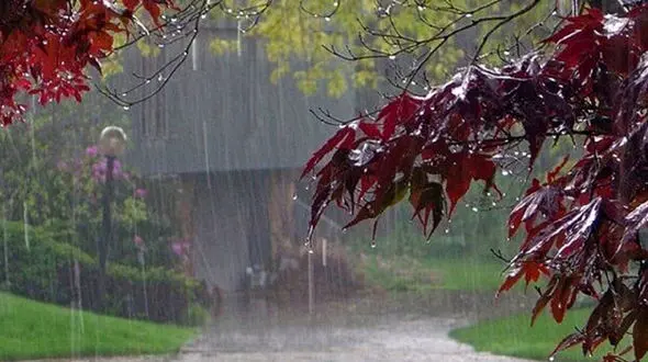 خشکسالی پاییزی در کمین ایران / احتمال 70 درصدی کاهش بارندگی 