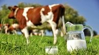 قیمت شیر خام ۵۵ درصد افزایش یافت+ سند