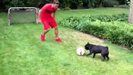 سگ باهوش ستاره بازی ساز تیم فوتبال آرسنال را شکست داد+عکس