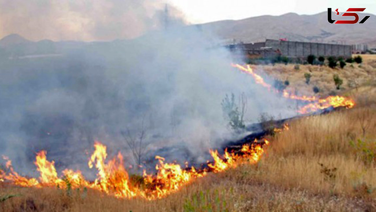 آتش گرفتن ۱۳۲ هکتار از عرصه‌های طبیعی  اراک فقط در یک روز