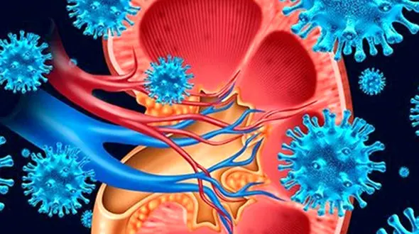 اوره خون بالا نشانه چیست؟