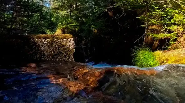 زندگی‌ات را با هدف پررنگ کن