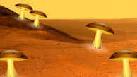 قارچ های فضایی را دیده اید؟+ عکس