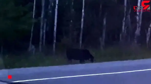 دیده شدن یه روح در فیلمی که اتفاقی گرفته شد + فیلم