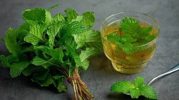 6 دمنوش‌ فوق العاده برای مقابله با آلودگی هوا