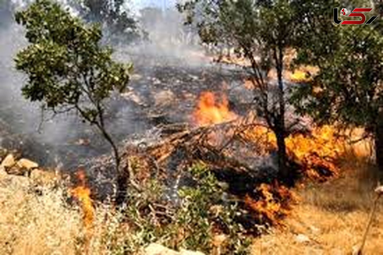 وضعیت قرمز کالیفرنیا / آتش مهیب جنگل در یک قدمی خانه ها
