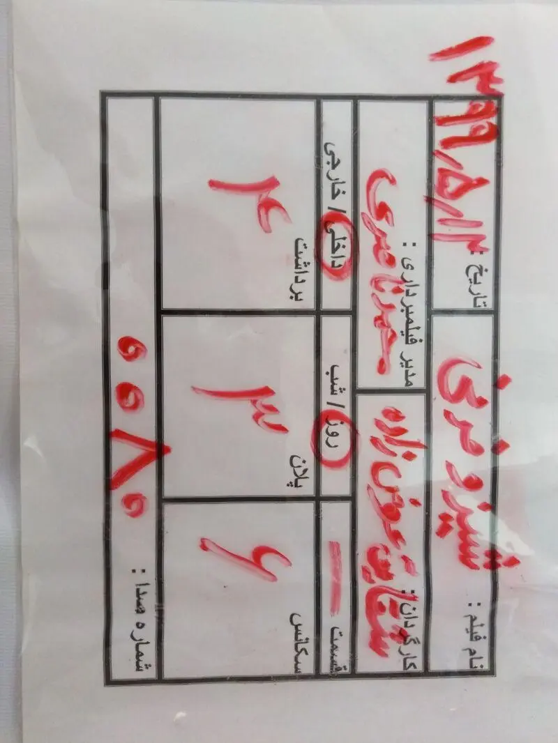 شقایق فیلمساز