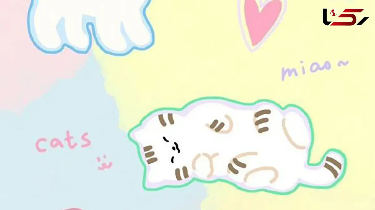 فال و طالع بینی روزانه 23 دی ماه + فیلم 