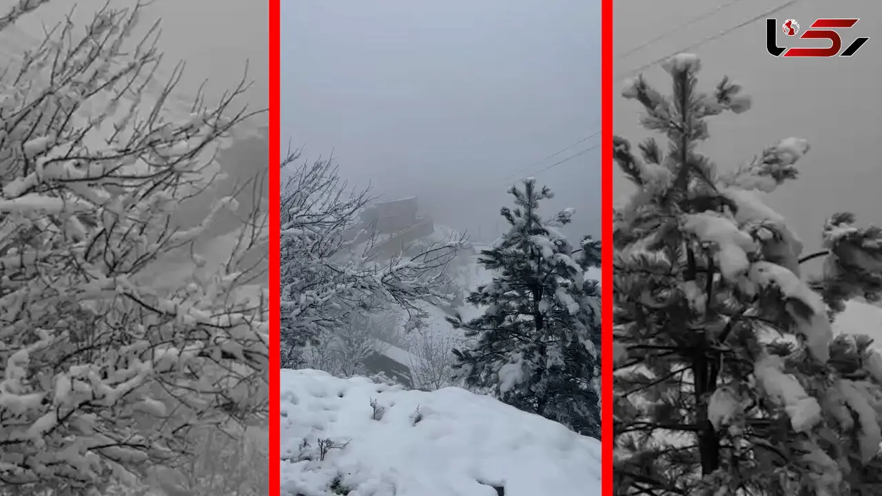 فیلم سپیدپوش شدن ماسوله پس از بارش برف
