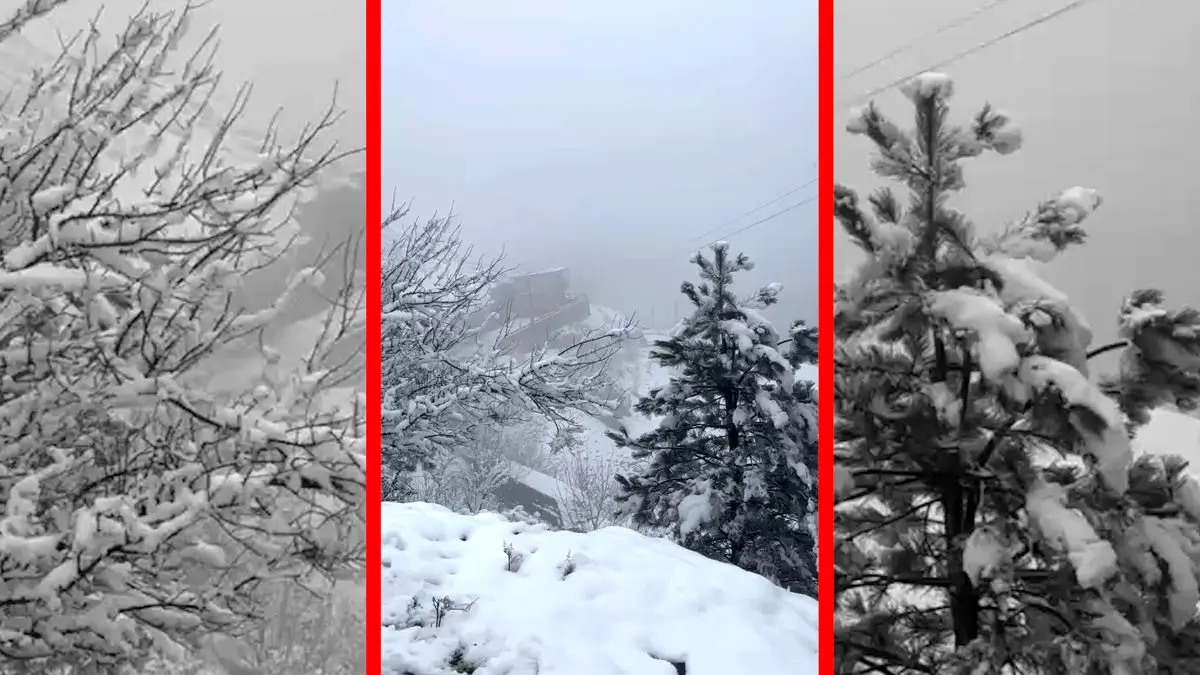 فیلم سپیدپوش شدن ماسوله پس از بارش برف