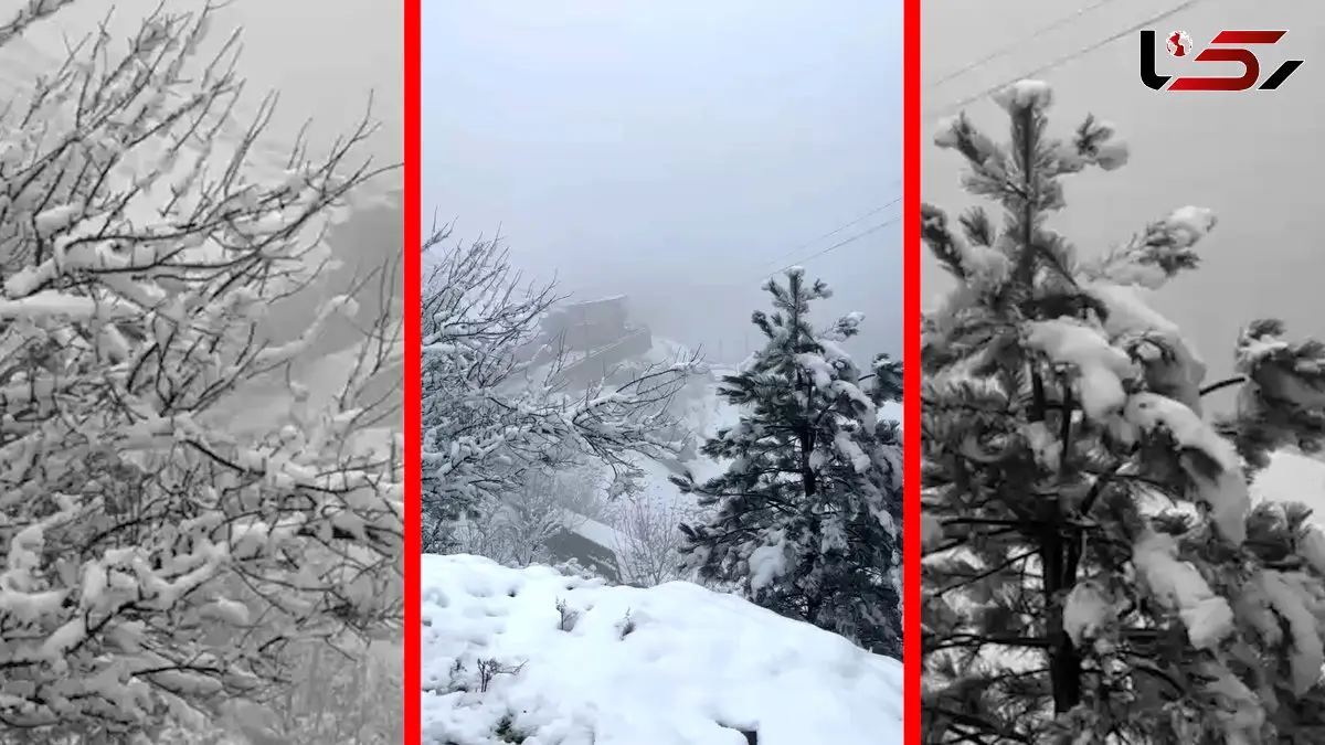 فیلم سپیدپوش شدن ماسوله پس از بارش برف