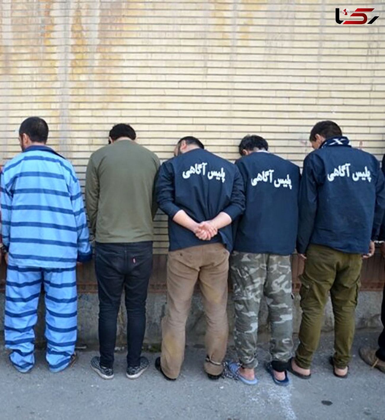 5 مرد خشن غرب تهران را آشفته کرده بودند / آنها با چاقو همه کار می کردند + عکس
