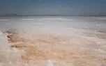 صحبت ها درباره برداشت لیتیم از دریاچه ارومیه، سیاسی بازی  و فقط برای متشنج کردن اذهان عمومی است 