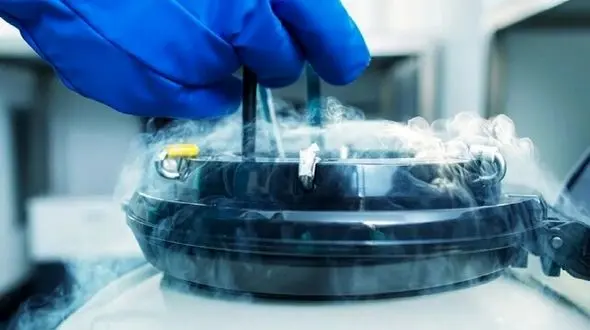 حواشی تولد یک نوزاد از اسپرم منجمدشده در سال ۱۹۹۶ / اسپرم را تا چه مدت می توان در انجماد نگه داشت؟ 