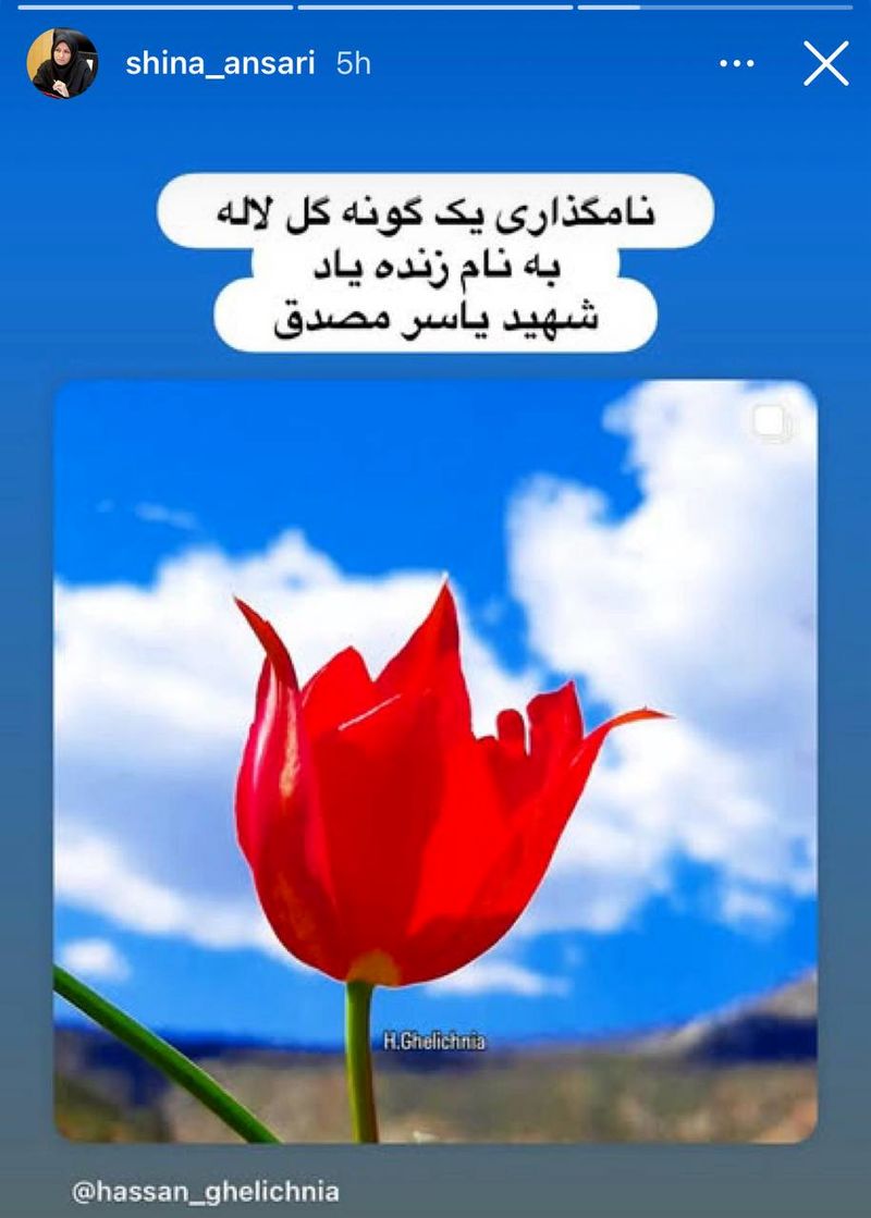 حمایت شینا انصاری از نامگذاری روی یک گل