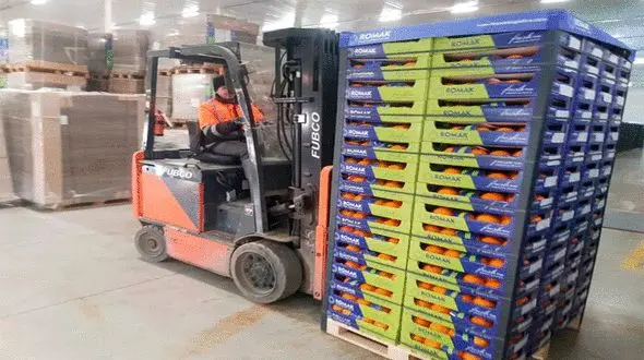 ۲میلیون تن پرتقال مازندران در راه بازار داخلی و صادراتی