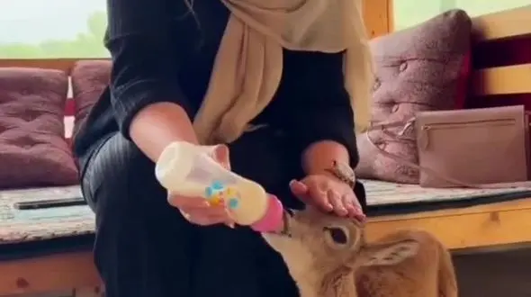 عکس دومین افتضاح نیوشا ضیغمی ! / چرا به خانم بازیگر اجازه جسارت می دهید !