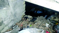 قتل فجیع زن جوان در زیر زمین ویلای متروکه ! / قاتل افغانستانی به پردیس گریخت ! + عکس محل جنایت