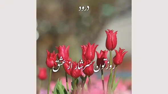 فال روزانه شخصی/ 26 شهریور ماه + فیلم