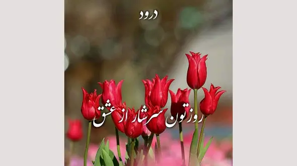 فال روزانه شخصی/ 26 شهریور ماه + فیلم