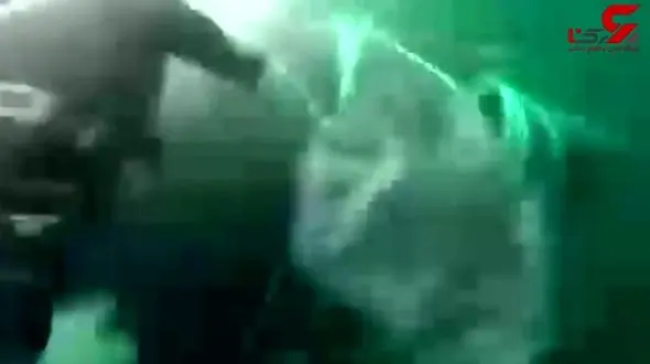 لحظه نجات نهنگ غول‌پیکر  + تصویر