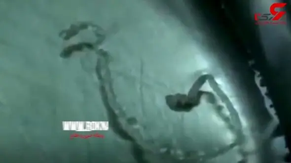 خارج کردن موجودی وحشتناک از مغز یک مرد+فیلم