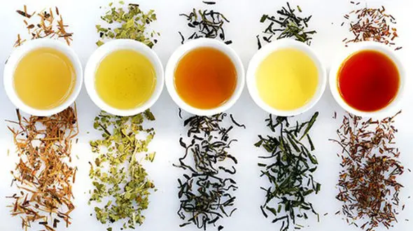 مانور چای‌ خارجی 495 هزار تومانی در بازار