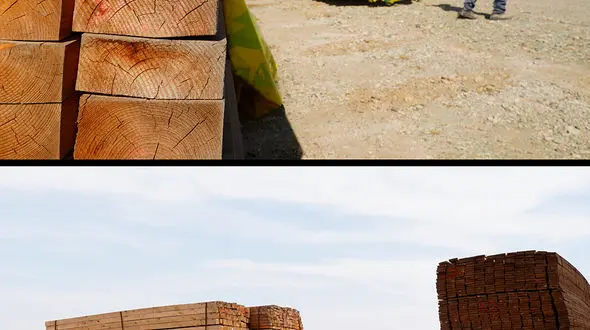 تدارک چشمگیر پیوان برای حضور در نمایشگاه چوب تبریز