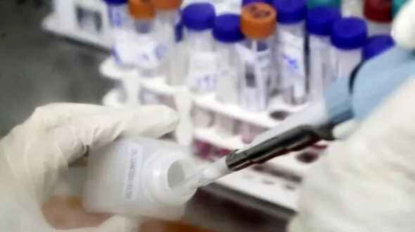  داستان عجیب محلول "معجزه آسای" کلیسایی در استرالیا برای درمان کرونا 