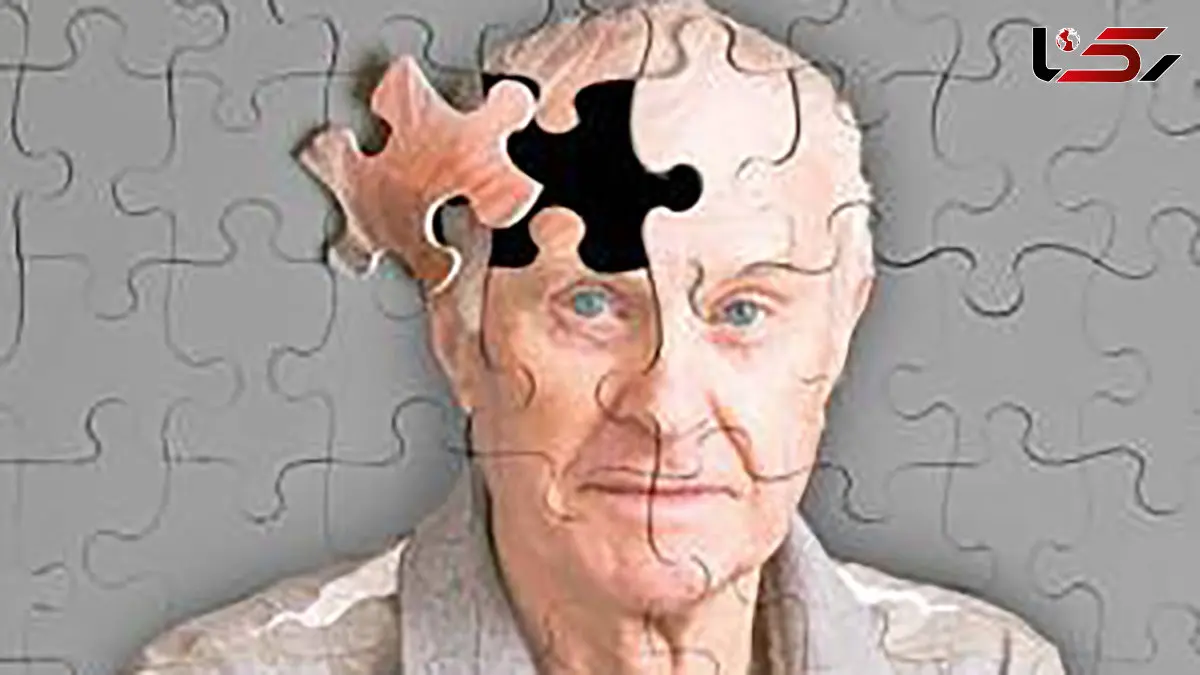 پنیر و خامه پرچرب دشمن زوال عقل