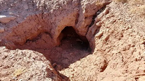 گنج نفیس جان اعضای یک خانواده را گرفت / در عمق 14 متری زمین چه رخ داد
