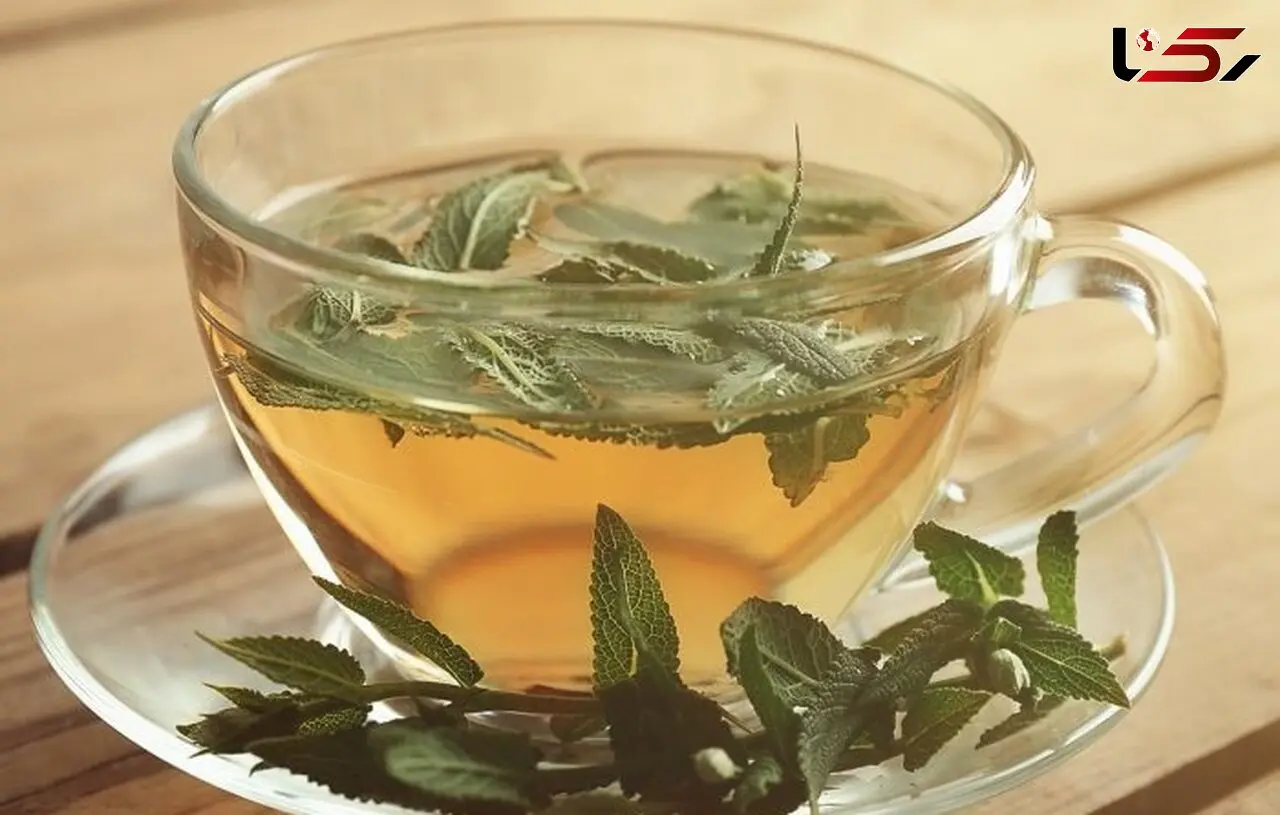دو گیاه موثر برای درمان کرونا 