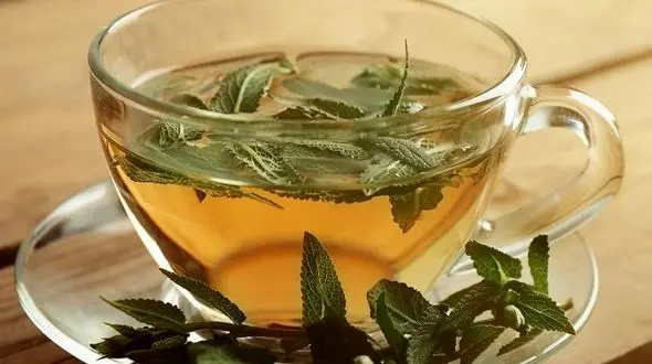 دو گیاه موثر برای درمان کرونا 