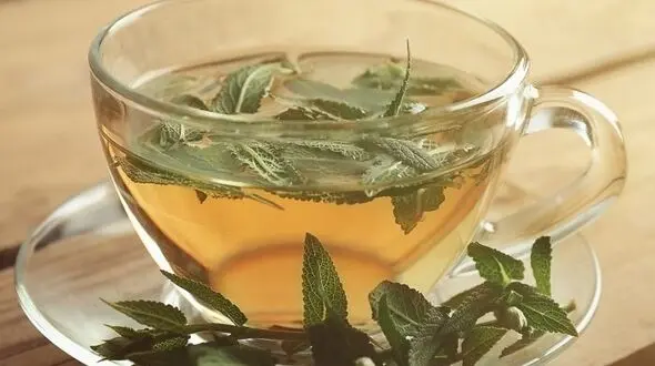 دو گیاه موثر برای درمان کرونا 