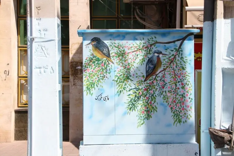 پرندگان بومی 