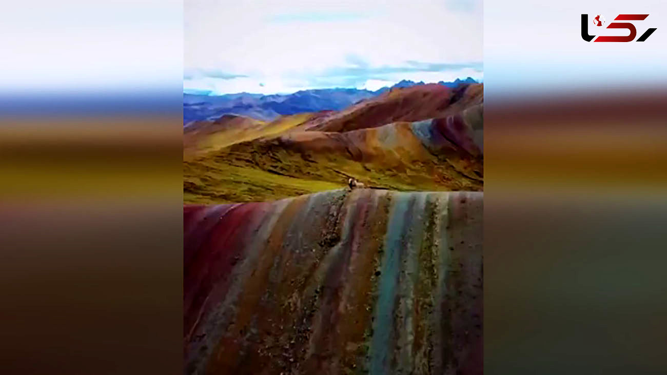 از این کوه ها رنگ می بارد + فیلم 