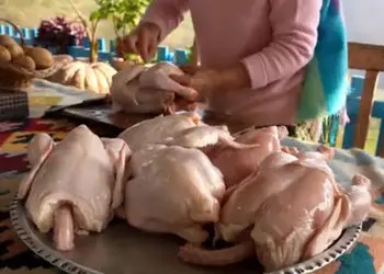 لذت چشیدن غذاهای اصیل روستایی ایران؛ مرغ تنوری و نانی از دل کوهستان / فیلم