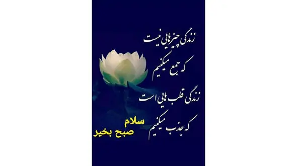 معجزه کلمات را باور کن / فیلم