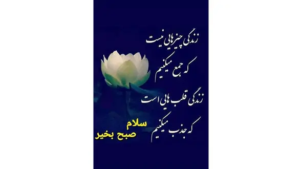 معجزه کلمات را باور کن / فیلم
