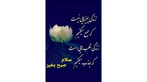 معجزه کلمات را باور کن / فیلم
