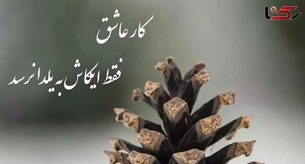 فال حافظ امروز / 11 بهمن ماه با تفسیر دقیق + فیلم