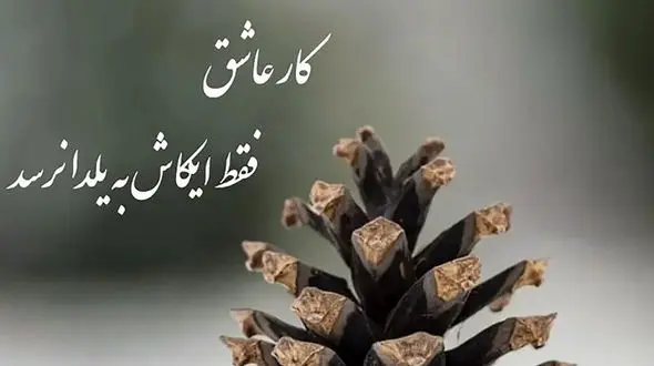 فال حافظ سومین روز عید 1402 / تفسیر دقیق سوم فروردین ماه + فیلم