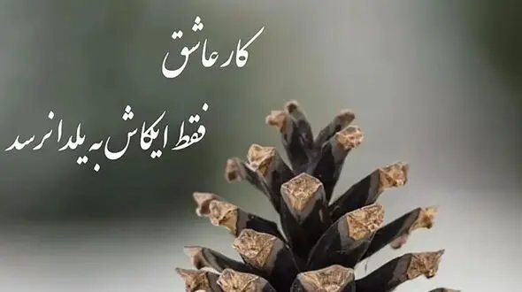 فال حافظ امروز / 11 بهمن ماه با تفسیر دقیق + فیلم