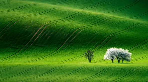 همیشه جنگیدن خوب نیست