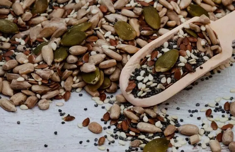 استخوان کودکان خود را با این غذاها تقویت کنید