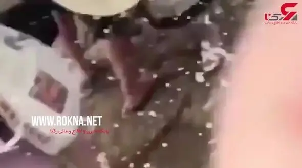 پرتاب شدن گردشگر جوان بر اثر برخورد موج +فیلم