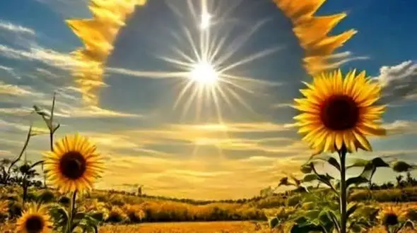 فال و طالع بینی امروز 12 شهریور 