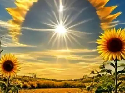 فال ابجد امروز 13 خرداد 1405