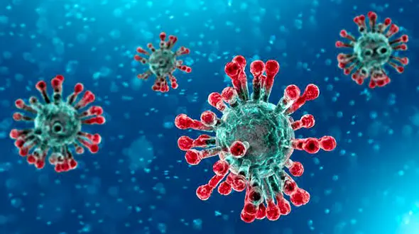 کرونا، سلامت ۳۳۱ نفر دیگر در خوزستان را به غارت برد/ شمار قربانیان به ۳۵۱ نفر رسید