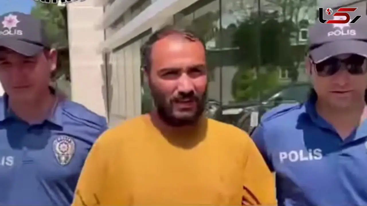 فیلم لحظه بازداشت جوانی که به یک گربه لگد زده بود/ در ترکیه رخ داد